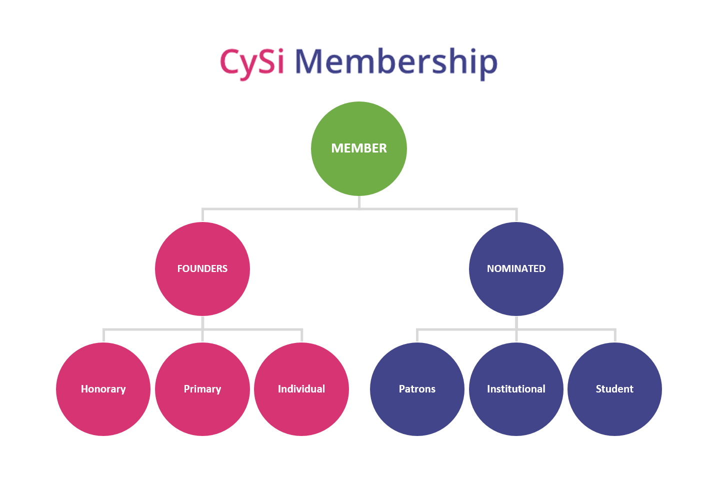 CySi Membership Categories